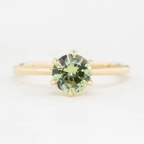 Floryn Ring 1.13ct Parti Green Yellow Montana Sapphire Ring 14K Yellow Gold, One of a kind